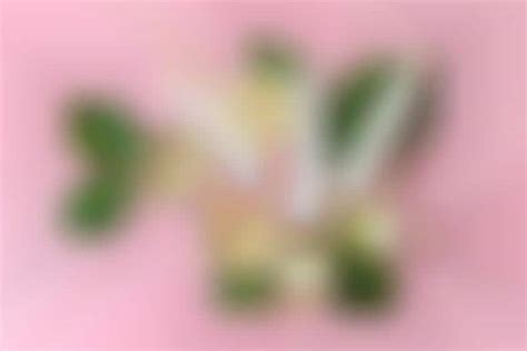 Kid-Made Custom Lip Balms : custom lip balm