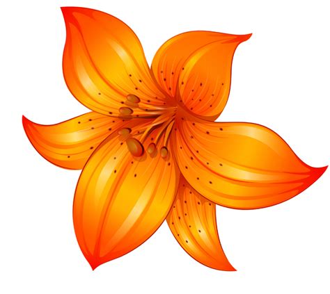 Image result for Flower Classification Model Using Machine Learning