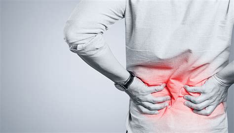 Image result for Common Lower Back Muscle Pain