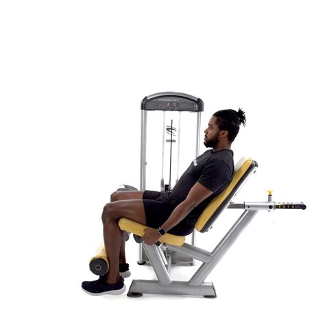 Exercises - Trainwell