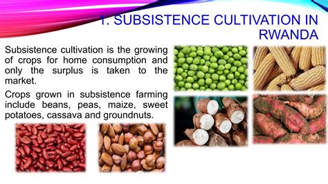 Unit 11 Agriculture in Rwanda.pptx