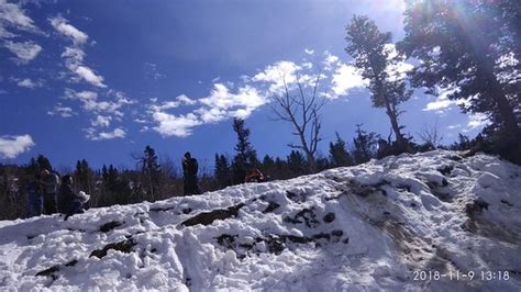 Gulaab a Snow Point during Heavy snow fall at Manali - Reviews, Photos ...
