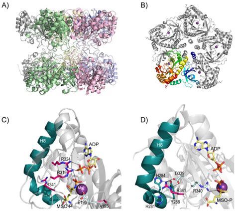 Minireview on Glutamine Synthetase Deficiency, an Ultra-Rare Inborn ...