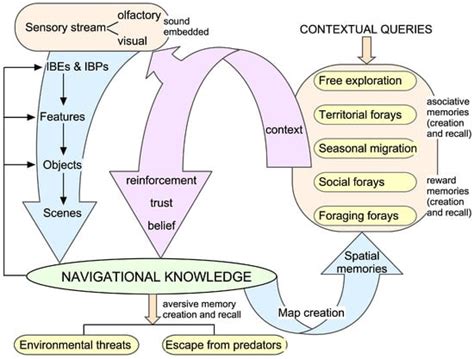 Information | Special Issue : The Resonant Brain: A Themed Issue ...