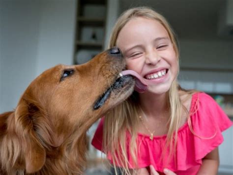 Dog Lick Disease: పాములే కాదు.. కుక్కలు నాకిన చనిపోతారు.. కళ్లముందే ...