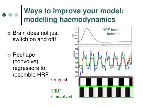 Image result for General Linear Model Example