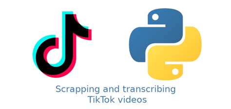 Image result for Tik Tok Python Hack