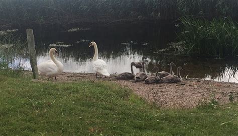 SLAPTON LEY NATURE RESERVE - All You Need to Know BEFORE You Go (with ...