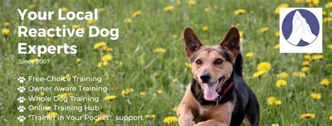 "LETS LOOK AT JUMPING UP" - A BTPDS Workshop, Weston Rhyn Institute ...