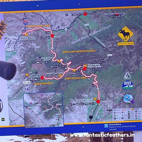 Fantastic Feathers: Rifle Falls State Park and the Grand Mesa