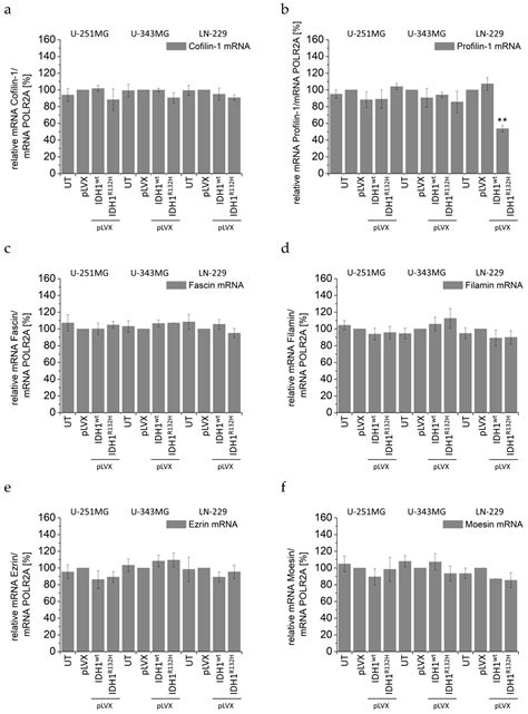 Radiosensitization and a Less Aggressive Phenotype of Human Malignant ...