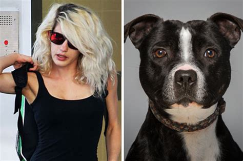 Bestiality case: Blonde admits sex with pit bull dog in Queensland ...