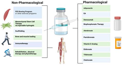 Rehabilitation: Neurogenic Bone Loss after Spinal Cord Injury