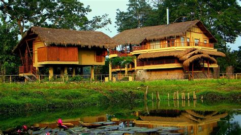 Katrina Kaif, Alia Bhatt and other celebrities love these 9 wellness ...