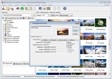 Download ThumbsPlus 10 SP2 Build 4015 - Baixar para PC Grátis