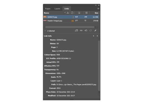 Image result for Grad Panel InDesign