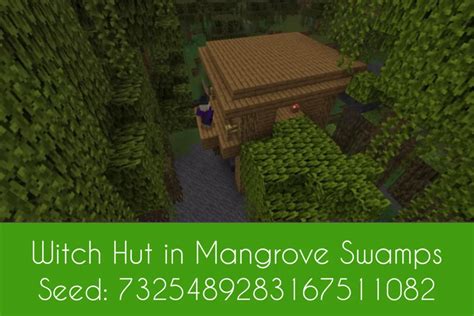 Image result for Minecraft Swamp Seeds Java