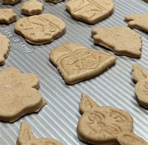 Paws and Claws | Rochester, MN Dentists