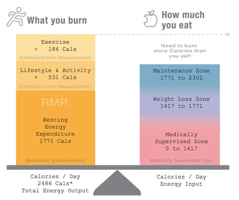 RMR Test Breakdown | Resting Metabolic Rate | Composition ID