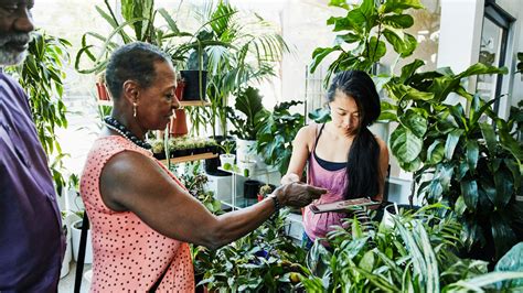 Image result for Local Search Internet