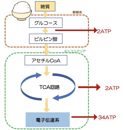AlienFX Lighting Control に対する画像結果