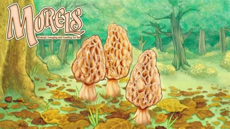 Strategic Card Game Morels Comes To Mobile