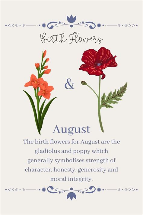 august 3rd 2024