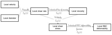 Sublingual Microcirculation Specificity of Sickle Cell Patients ...