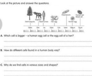 please help me in this question - Brainly.in