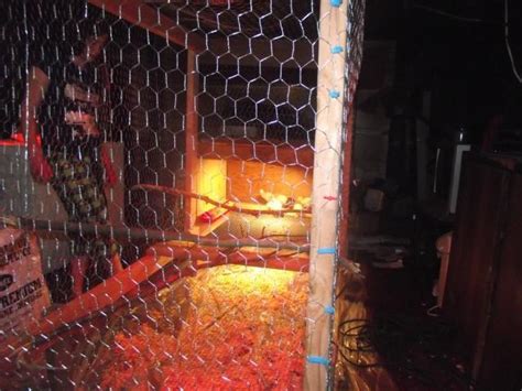 Image result for Turkey Brooder