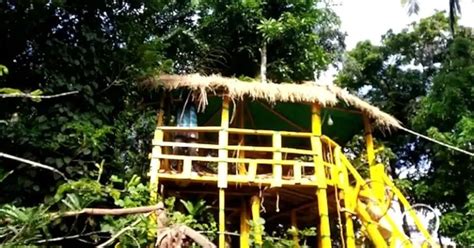 गजब! इंटरनेट कनेक्शन था स्लो, क्लास नहीं चल पा रही थी.. टीचर ने पेड़ पर ...