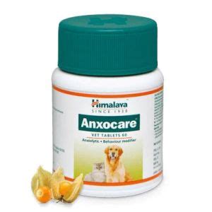 Buy Dog & Cat Medicines Online at the Best Price in India