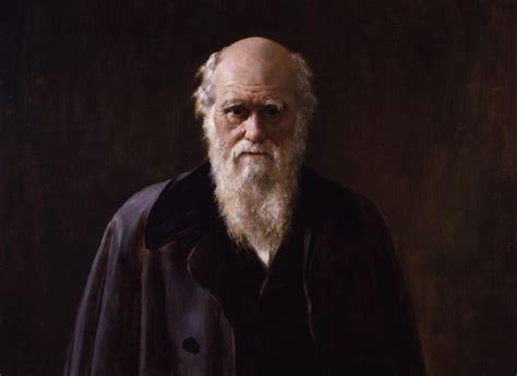 Darwin: Human Evolution & Darwin