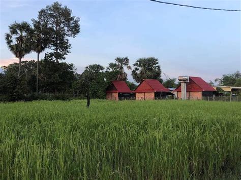 THE VILLAGE HOMESTAY (Siem Reap) - Villa Reviews & Photos - Tripadvisor
