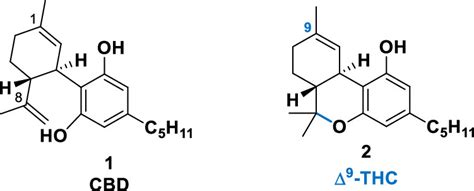 Image result for THC Molecular Compound