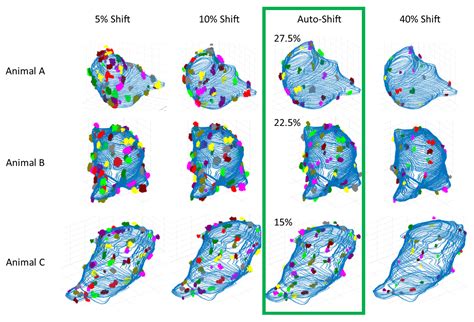 Precision in 3D: A Fast and Accurate Algorithm for Reproducible ...