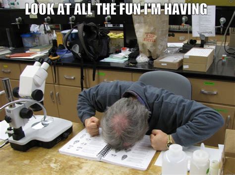 Image result for Go Have Fun Meme