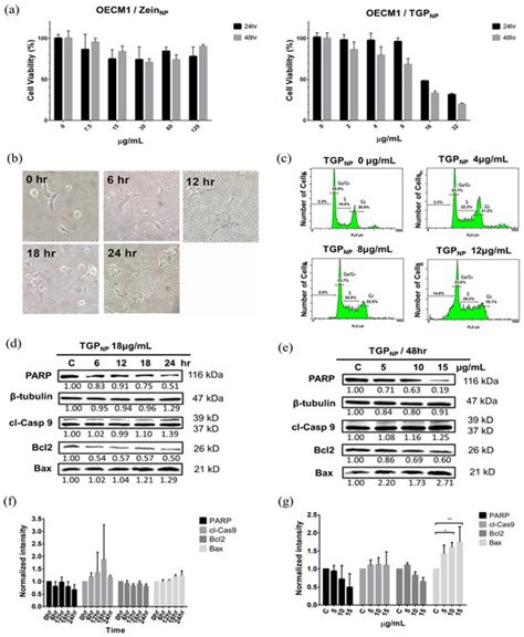 Taiwan Green Propolis Nanoparticles Induce Antiproliferation and ...