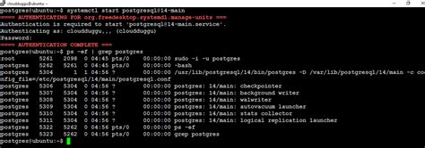 Image result for Start Postgresql