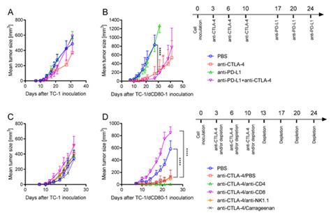 CD80 Expression on Tumor Cells Alters Tumor Microenvironment and ...