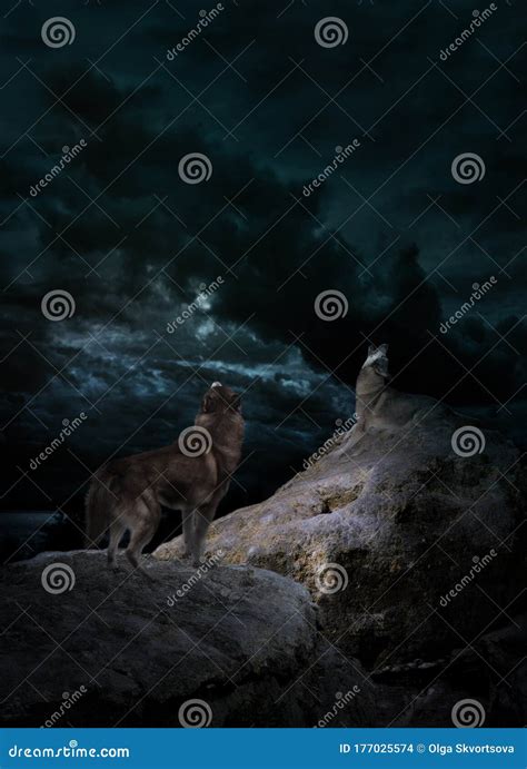 Image result for Wolves Howl at Night
