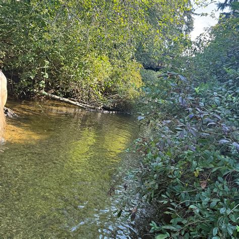 LEGHORN RANCH (2026) All You Need to Know BEFORE You Go (with Photos ...