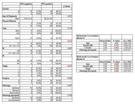 How To Treat Stage 4 Renal Cancer