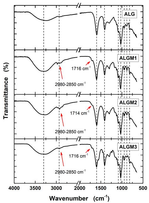 Photocrosslinked Alginate-Methacrylate Hydrogels with Modulable ...