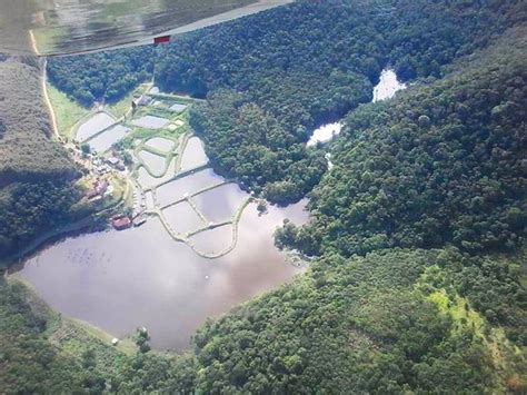 Pesqueiro Kiri em Campinas com pesca esportiva de tambaquis e peixes grandes