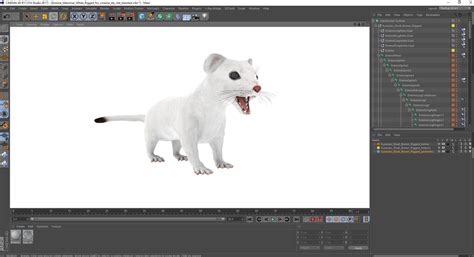 3D model Ermine Mammal White Rigged for Cinema 4D | 3D Molier International