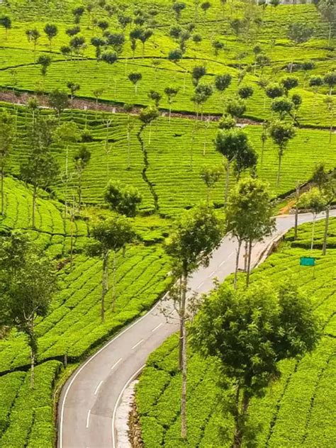 Lesser-known attractions and activities in Ooty | EconomicTimes