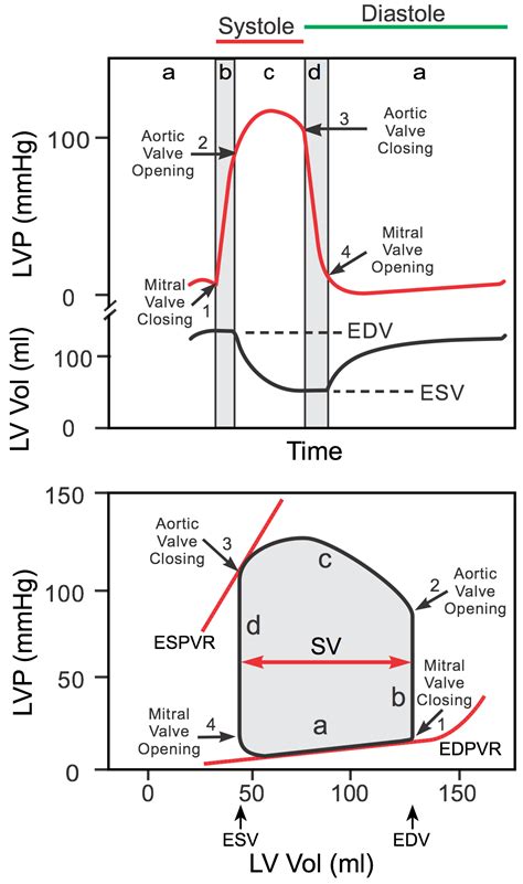 Pressure Volume Diagram
