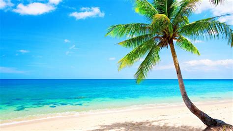 Image result for Beach Python Code