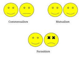 What are the distinctions indicated in the words mutualism,commensalism ...